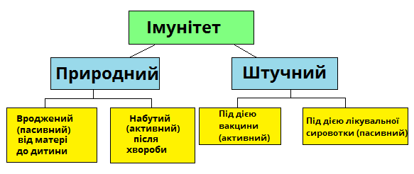 Вроджений та адаптивний імунітет - В чому відмінність між вродженим та адаптивним імунітетом?