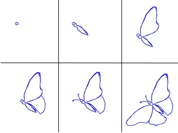 Як намалювати метелика - малюємо мтелика поетапно, малюнок метелика адмірал