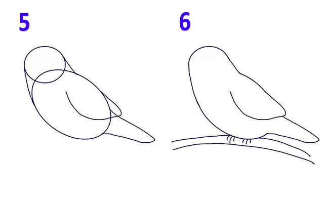 Як намалювати пташку - пташка у польоті, малюємо пташку синицю