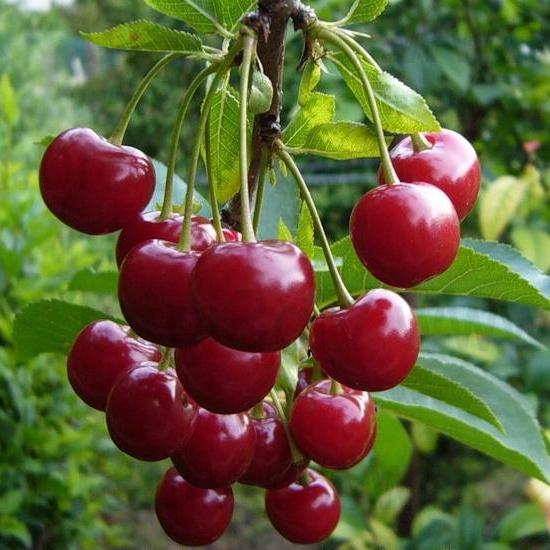 Як побороти безсоння