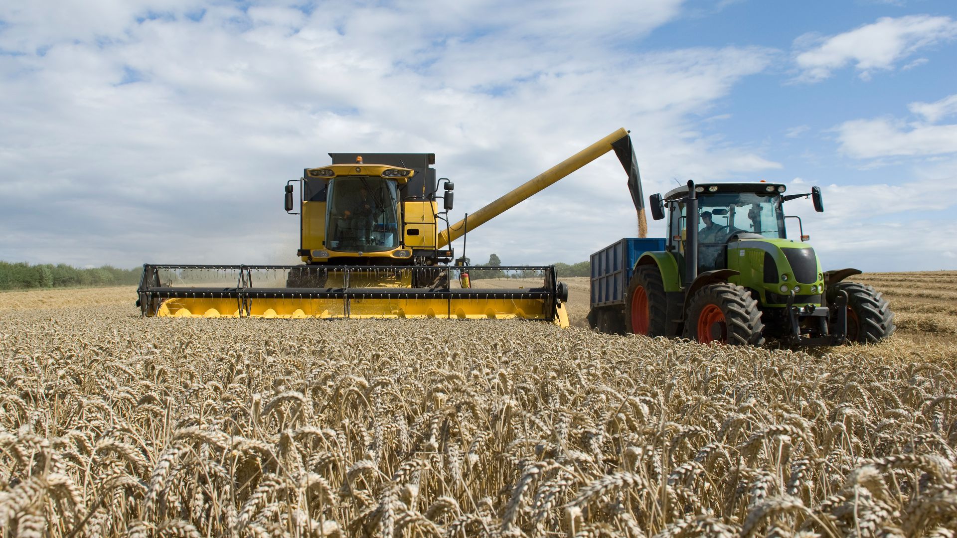Як правильно транспортувати зерно з поля за допомогою трактора?