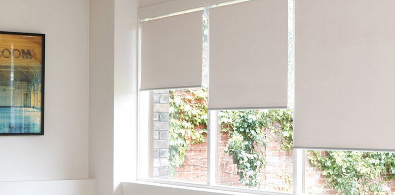 Кому лучше всего подойдут тканевые ролеты